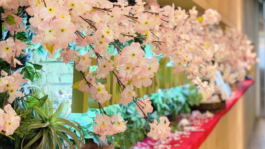 この春、新しい仲間が加わりました